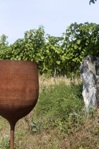 an der Radroute im Seewinkel darf Wein nicht fehlen...