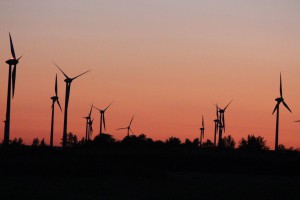 Windmühlen im Seewinkel