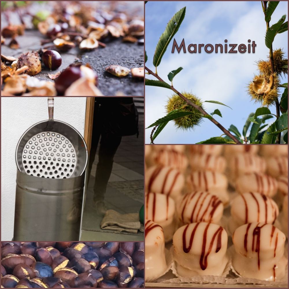 Maronizeit