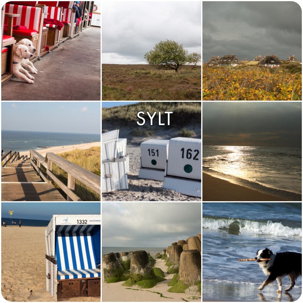 sylt